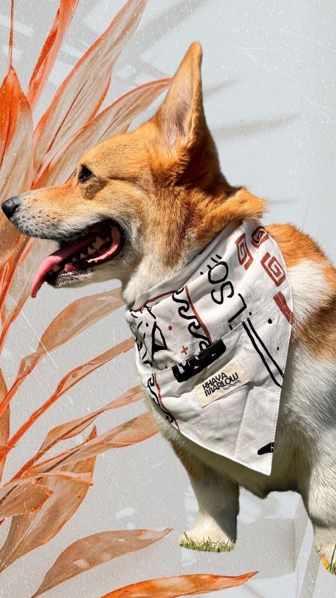 Tommy's Pet bandanas