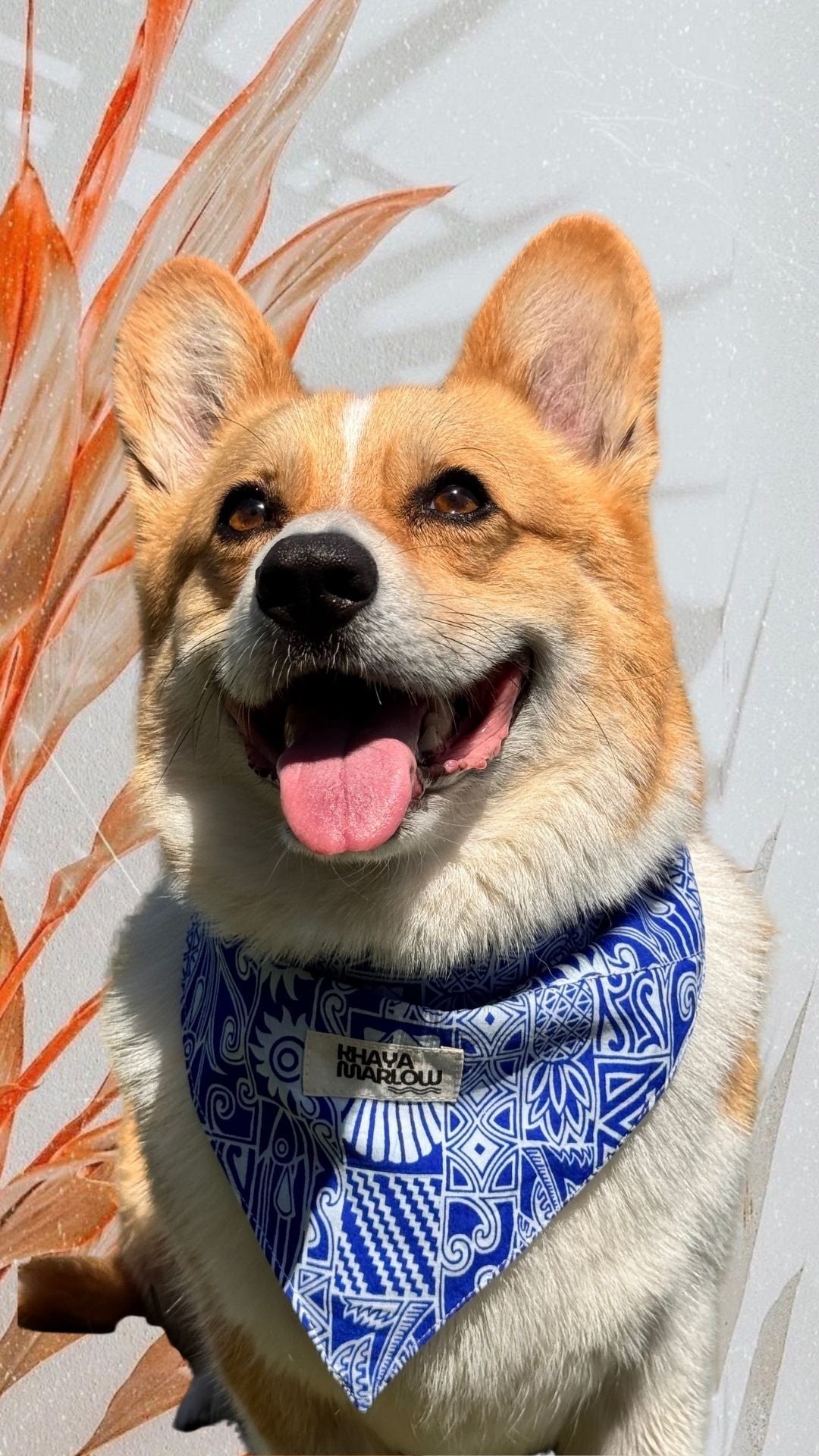 Tommy's Pet bandanas